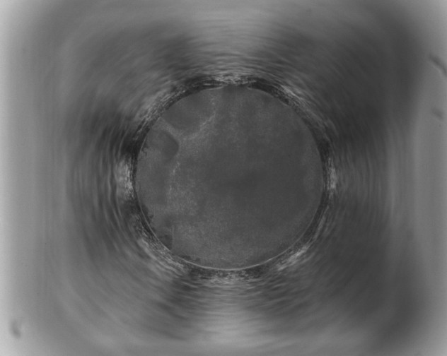 X0000100971106200807011414