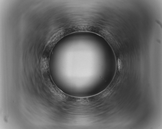 X0000100971107200807011414