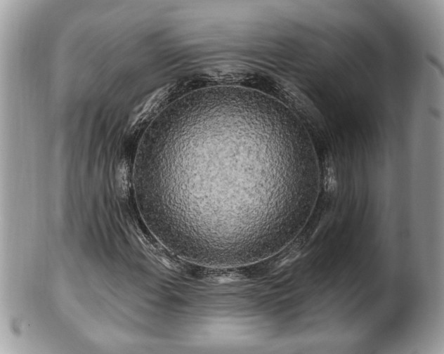 X0000100971108200807011414