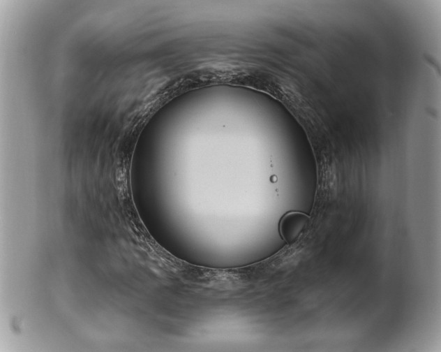 X0000100971109200807011414