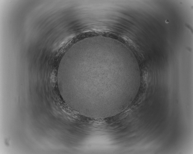 X0000100971110200807011414