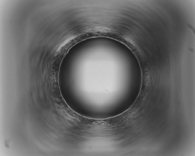 X0000100971112200807011414