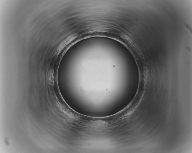 X0000100971113200807011414