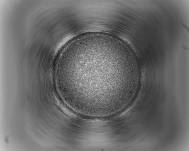 X0000100971114200807011414