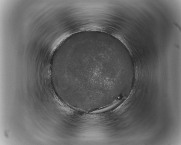 X0000100971115200807011414