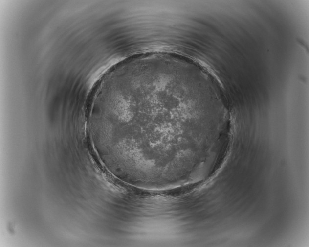 X0000100971117200807011414