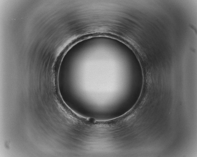 X0000100971118200807011414