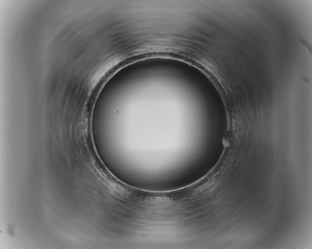 X0000100971119200807011414