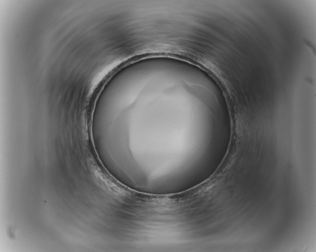 X0000100971120200807011414