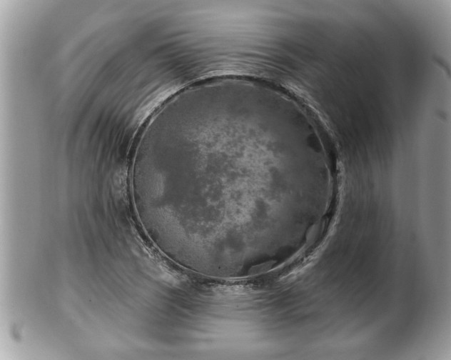 X0000100971121200807011414