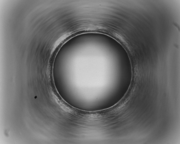 X0000100971122200807011414