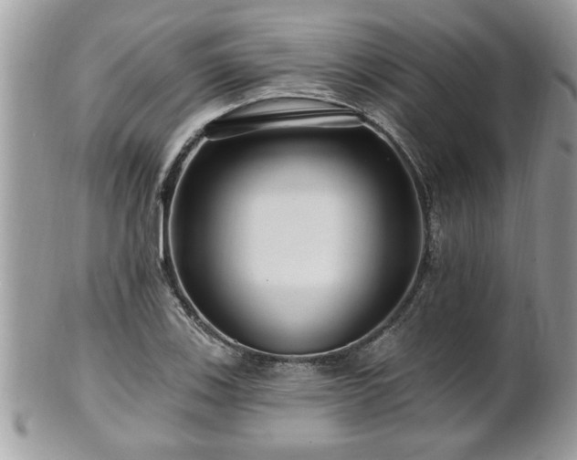 X0000100971123200807011414