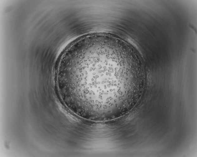 X0000100971124200807011414