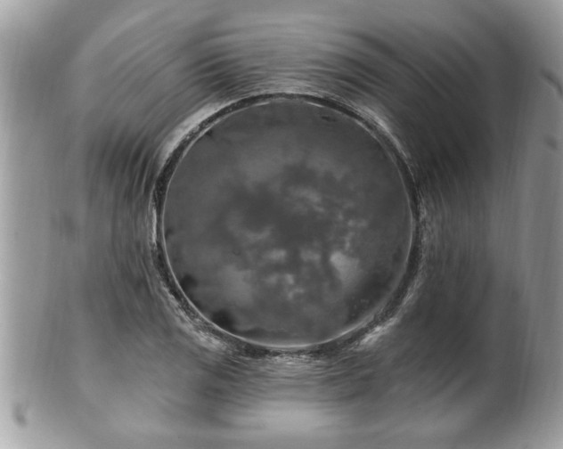 X0000100971125200807011414