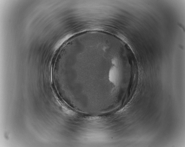 X0000100971127200807011414