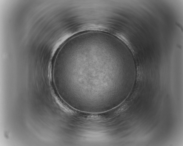 X0000100971128200807011414
