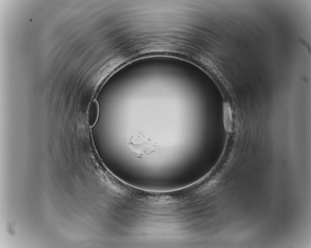 X0000100971129200807011414