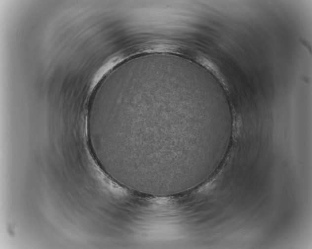 X0000100971130200807011414
