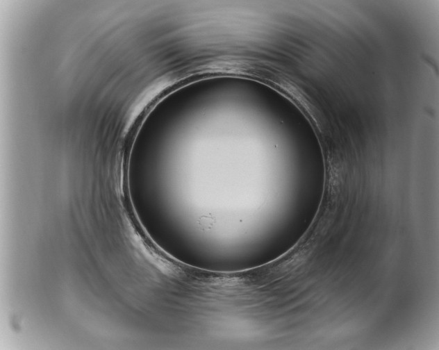 X0000100971131200807011414