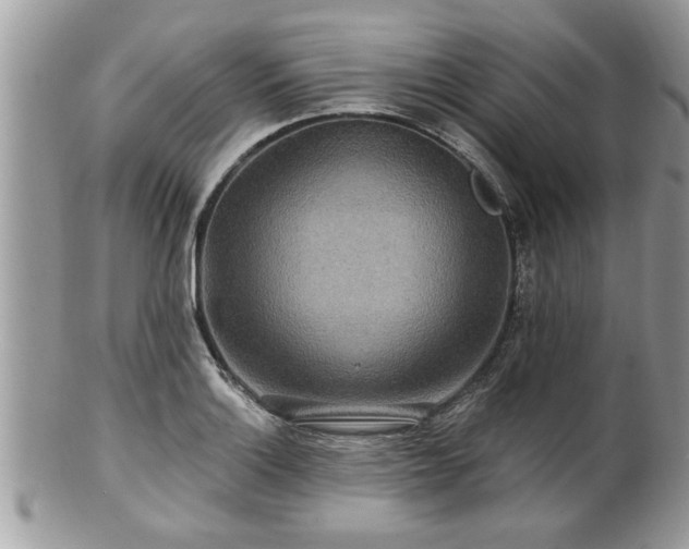 X0000100971132200807011414