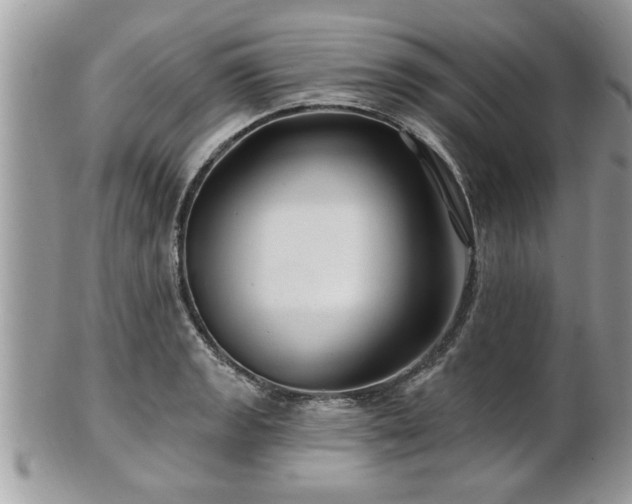 X0000100971133200807011414