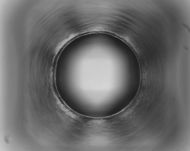 X0000100971134200807011415