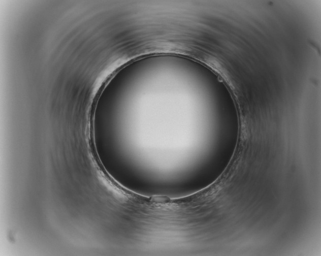 X0000100971136200807011415