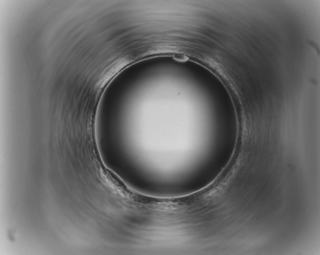 X0000100971137200807011415