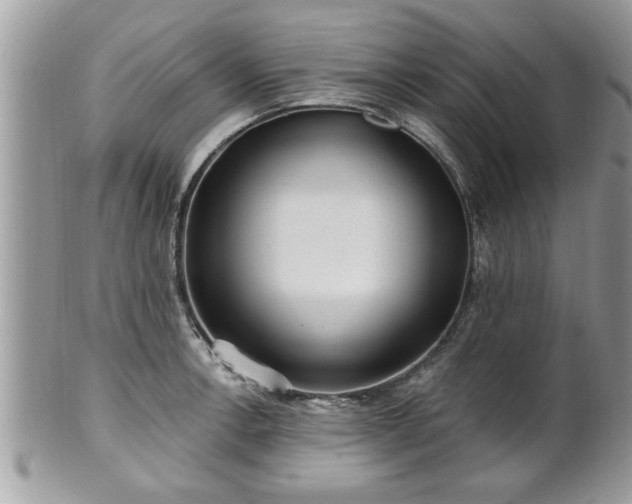 X0000100971138200807011415