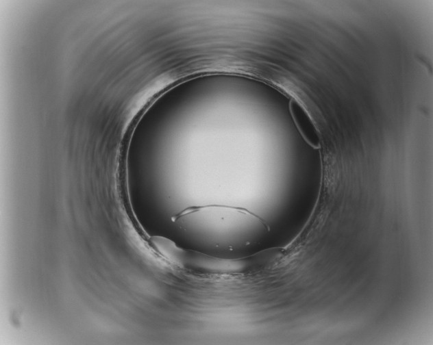 X0000100971139200807011415