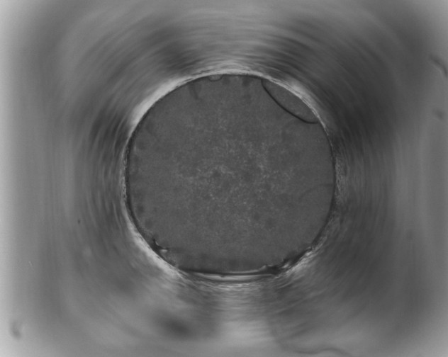 X0000100971142200807011415