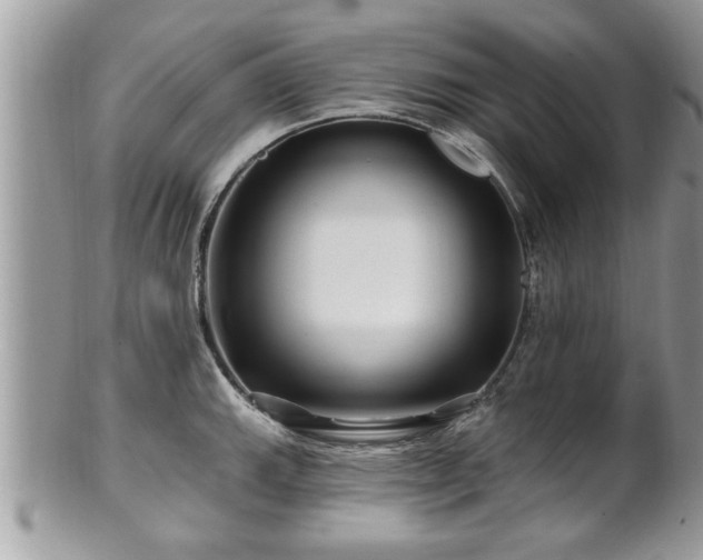 X0000100971143200807011415