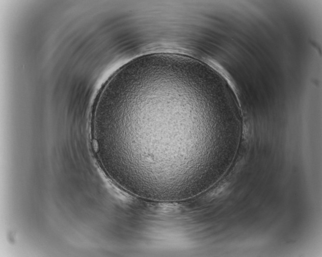 X0000100971144200807011415