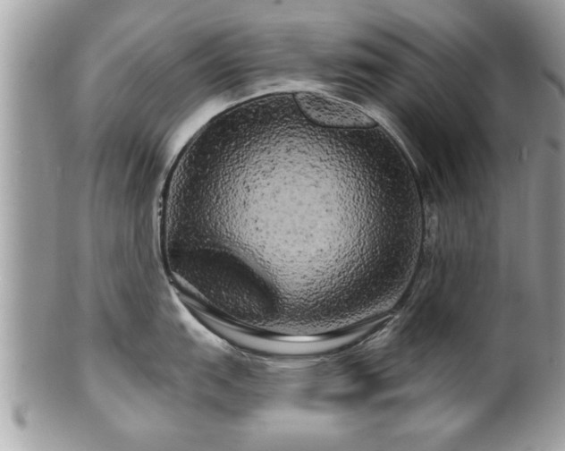 X0000100971151200807011415