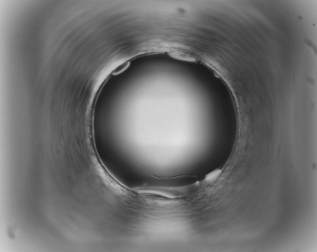 X0000100971152200807011415