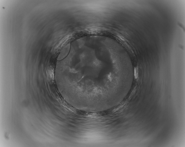 X0000100971155200807011414
