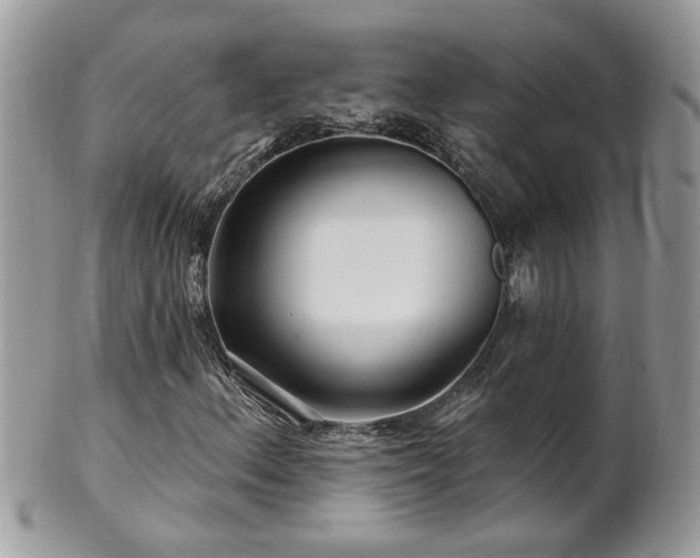 X0000100971156200807011414