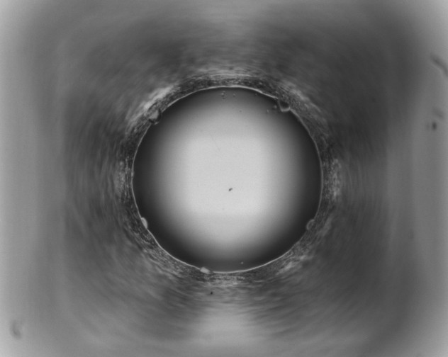 X0000100971157200807011414