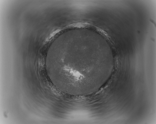 X0000100971158200807011414