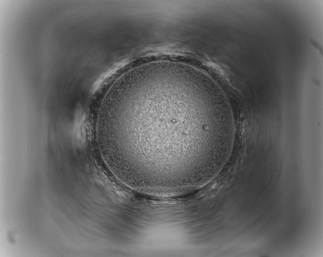 X0000100971159200807011414