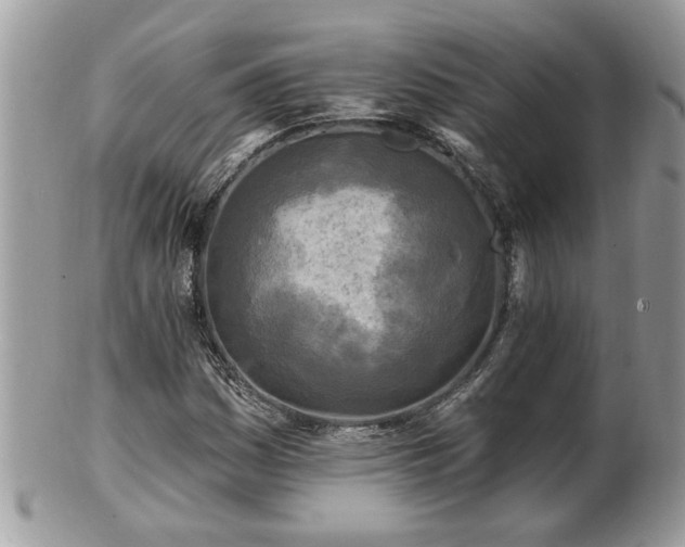 X0000100971161200807011414