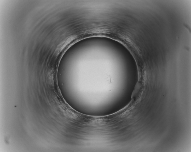 X0000100971162200807011414