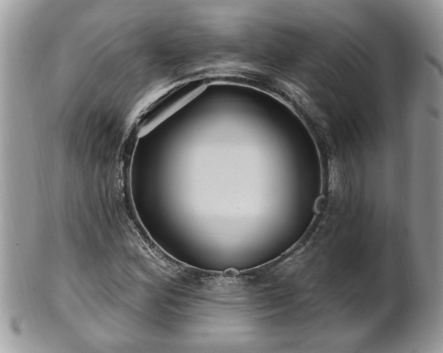 X0000100971164200807011414