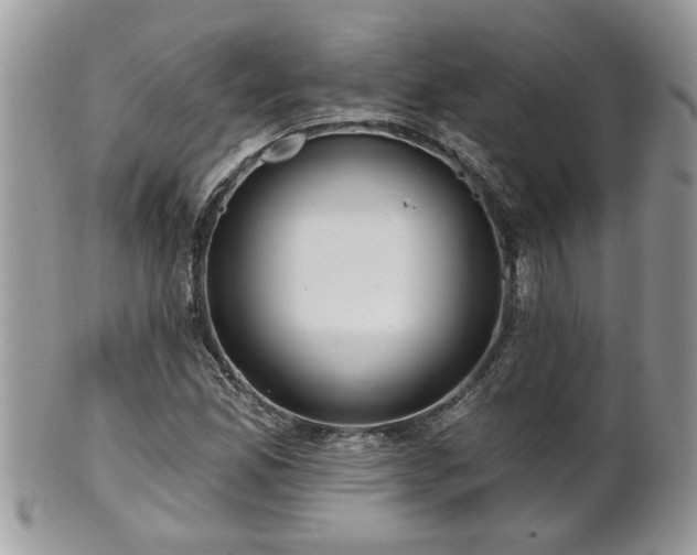 X0000100971165200807011414