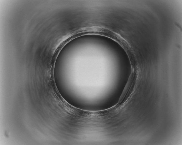 X0000100971166200807011414