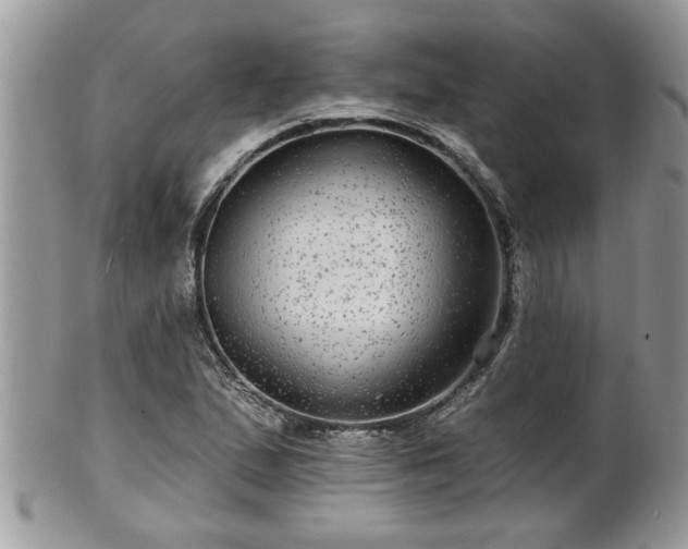 X0000100971167200807011414