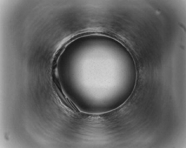 X0000100971168200807011414