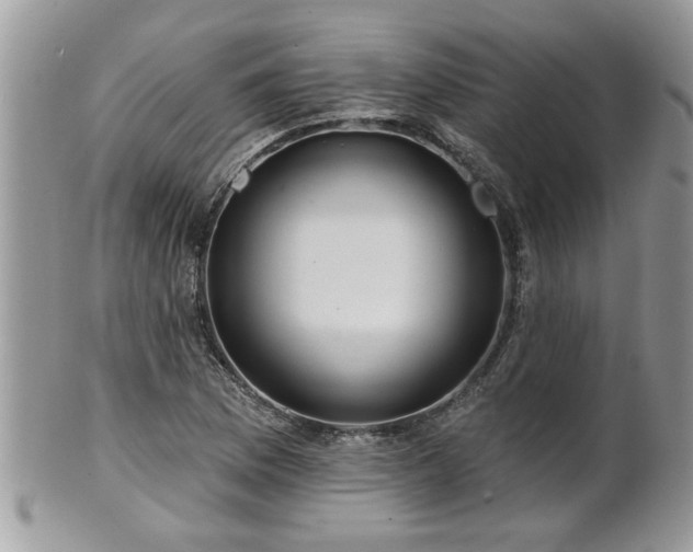 X0000100971169200807011414