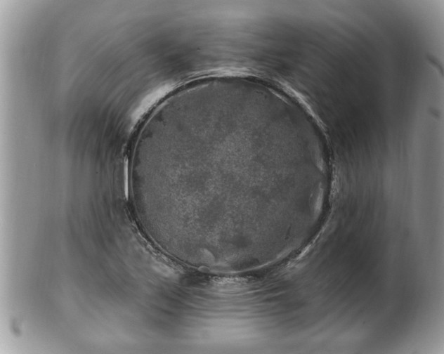 X0000100971171200807011414