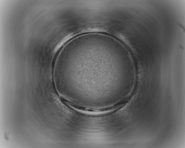 X0000100971173200807011414